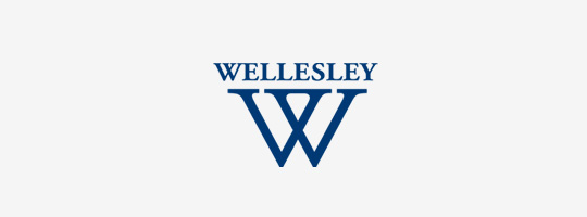 Wellesley College Summer<br>Innovation Scholarship Fund(US)